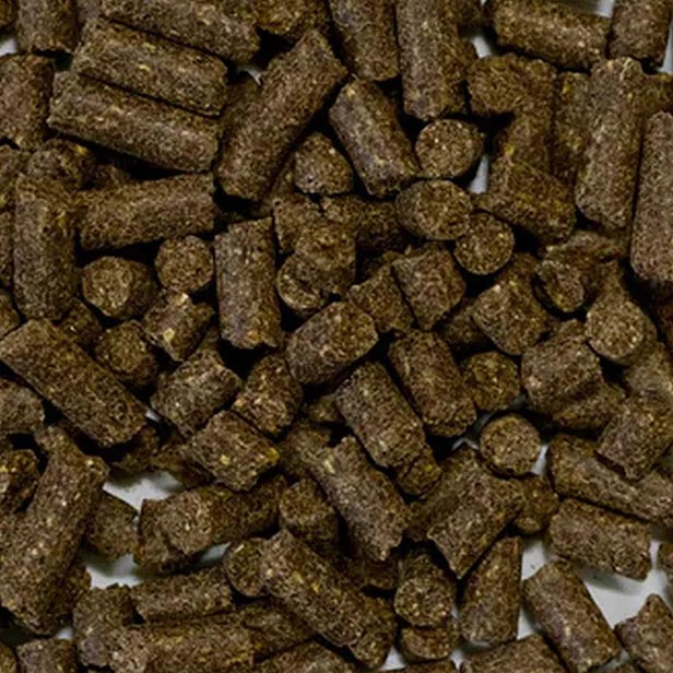 Special Quality Lam - Vers - 15 kg (geperst)