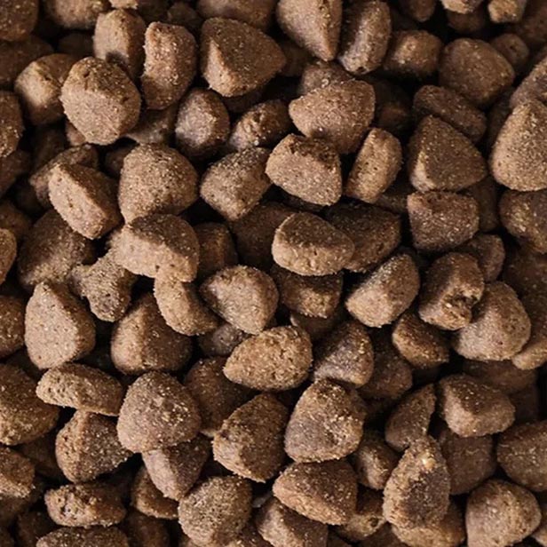 Masterclass Verse Gevogelte - 10 kg (geëxtrudeerd)