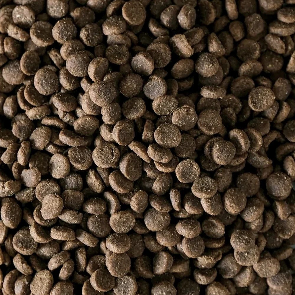Masterclass Puppy Verse Rund - kip - 10 kg (geëxtrudeerd)