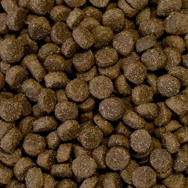 Masterclass Mini Verse Lam - Rijst - 5 kg (geëxtrudeerd)