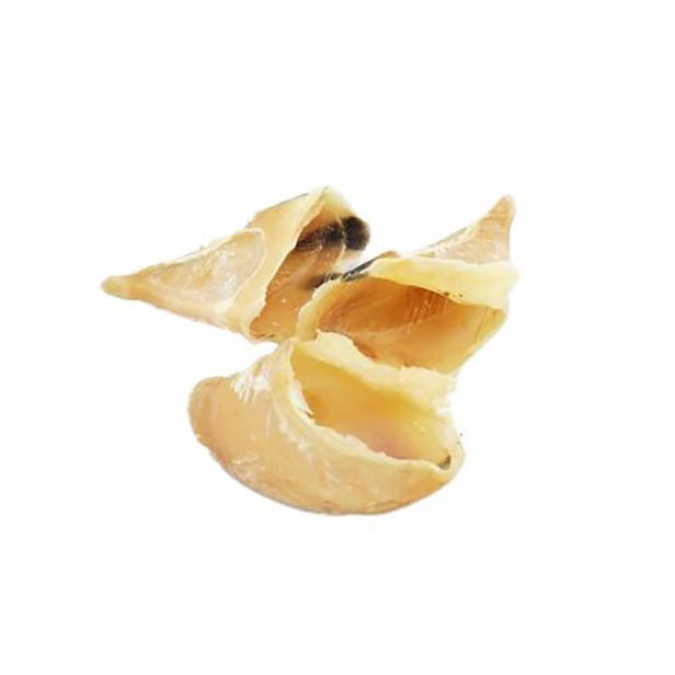 petsnack-kalfshoeven-groot-2.jpg