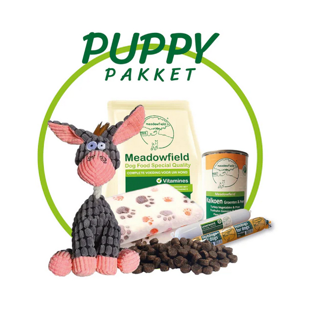 Compleet Pakket voor een Puppy - Eten en Spelen