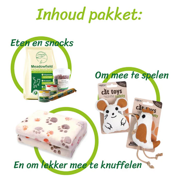 kitten-pakket-4.jpg