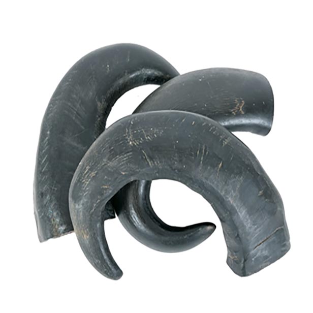 Petsnack Hoorn Tip - 3 stuks