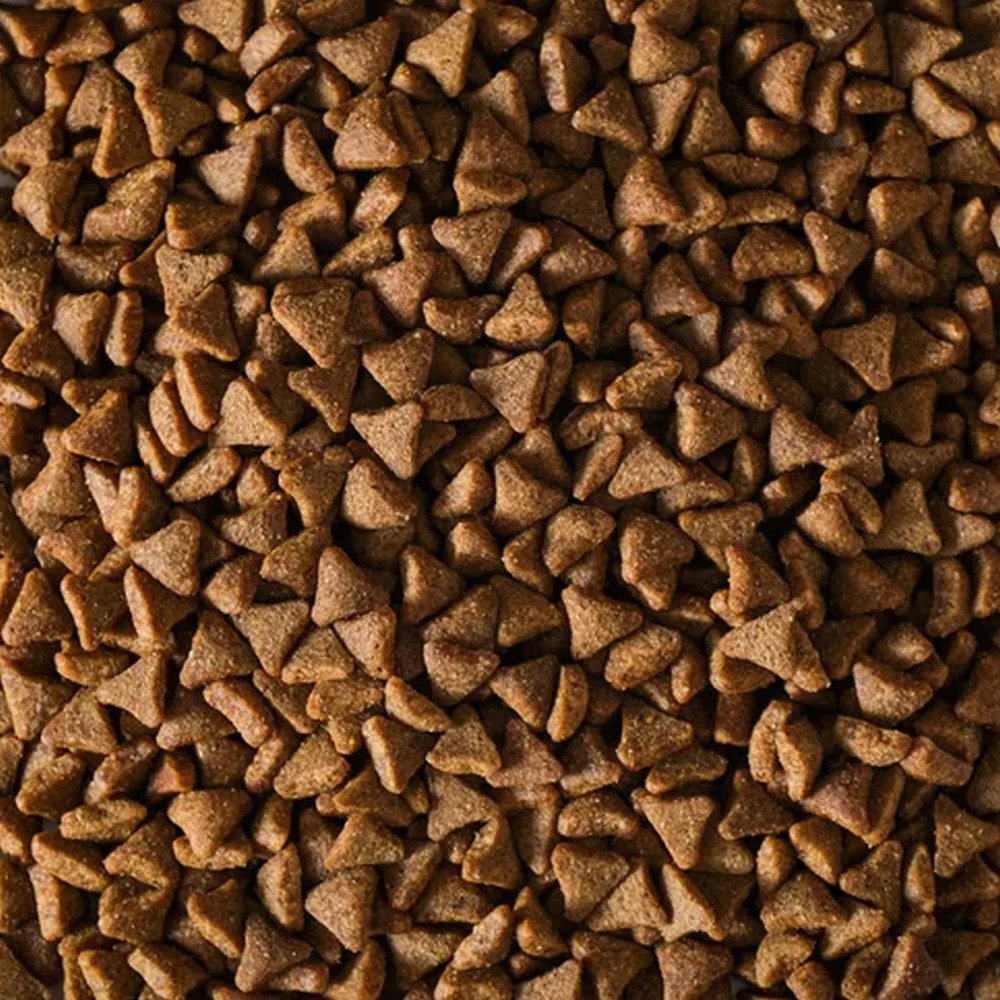 Masterclass Castraat - Steriel - Verse kip en Zalm - 5 kg - (geëxtrudeerd)